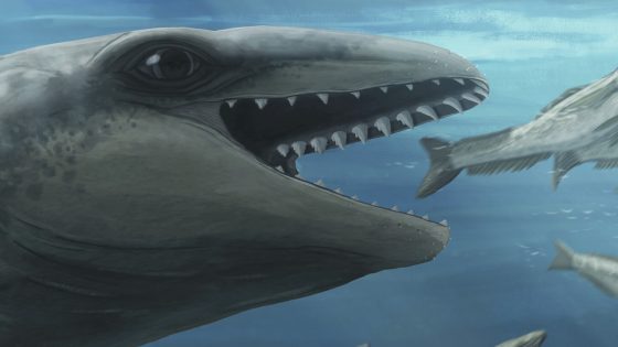 New fossil discovery reveals tiny ancestor of modern whales
