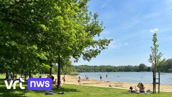 Rotselaar laat beluchters in water blazen om blauwalg te voorkomen in Plas