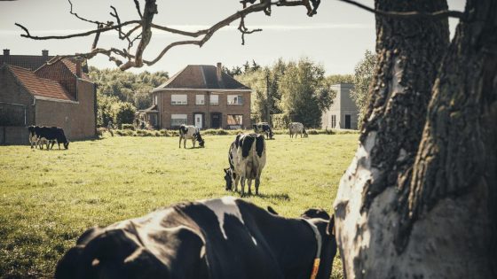De ‘fermettisering’ van het platteland neemt nog toe: aanvragen in vijf jaar tijd verdrievoudigd - De Standaard
