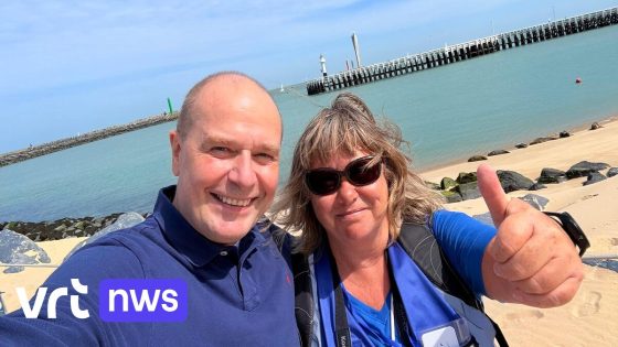 Zeehonden keren terug naar Klein Strand in Oostende: "Dolblij en een hele opluchting"