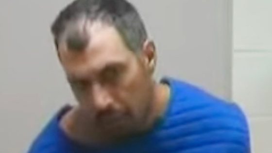 Security footage shows July 26 stabbing spree at Grand Traverse County Walmart