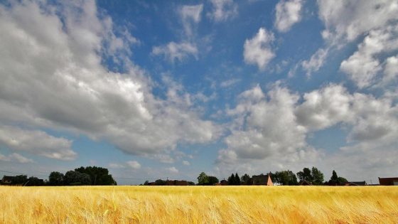 Weerbericht - Zonnige zondag en maandag voor de boeg
