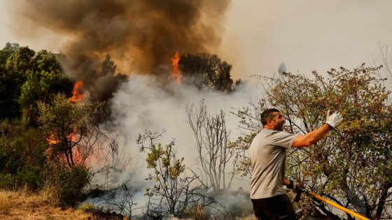 Thousands displaced in Greece, Spain and Portugal as wildfires continue to rage