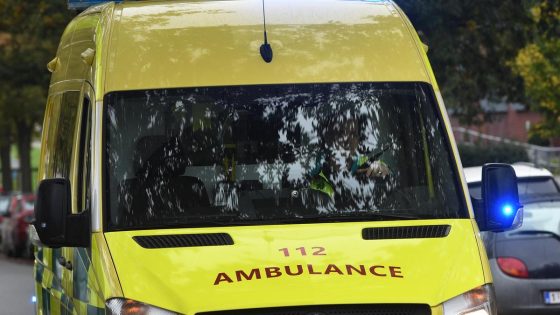 Kind (4) in levensgevaar door beet van de hond des huizes: “Hond is in beslag genomen” 