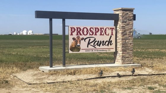 Rural Colorado mourns 6 who died from suspected gas exposure at dairy farm