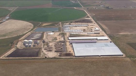 Six dead in accident at Colorado dairy