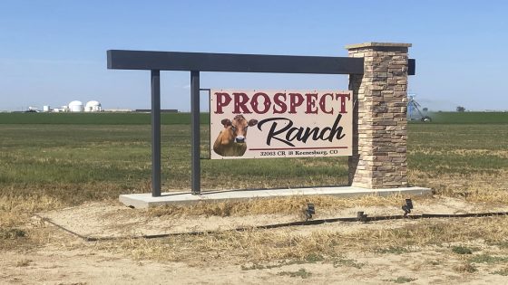 Rural Colorado mourns 6, including father and sons, who died from suspected gas exposure at dairy farm