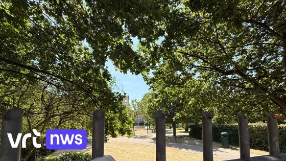 Slachtoffer schietpartij Anderlecht blijkt jongen van 17, jongste dode door vuurwapengeweld dit jaar