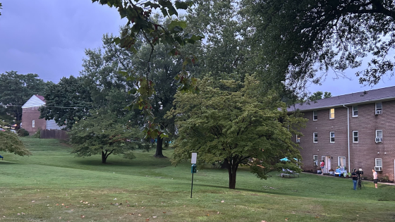 13-year-old drowns after washing into drainage pipe during strong storm in Maryland