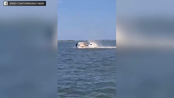 Whale dead, passenger sent flying off boat after collision in Barnegat Bay, New Jersey, officials say