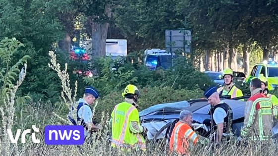 Vrouw sterft bij ongeval op Expresweg Ninove, politie onderzoekt omstandigheden