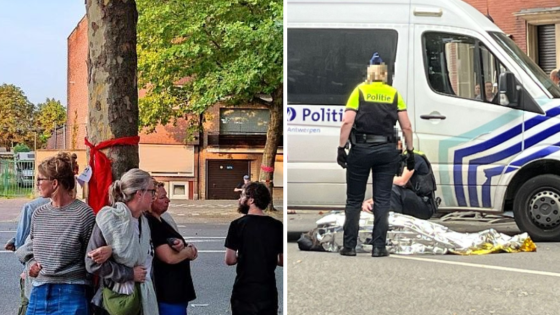 Bomenkap in Deurne gaat voorlopig door, ondanks geëscaleerd protest: “Donderdag uitspraak over vergunning”