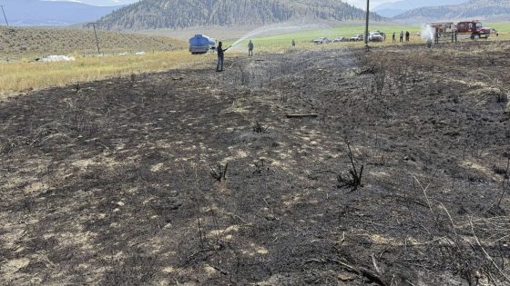 A fish falling from the sky sparks a brush fire in British Columbia