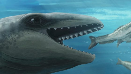 This prehistoric whale had razor teeth and bulging eyes