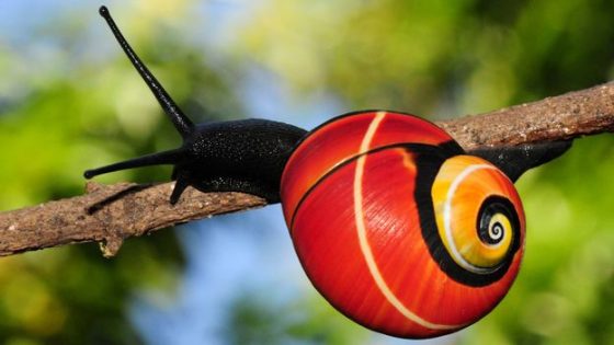 Ten of the best science pictures of the week