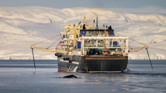 Officials shut down remote krill fishery in Antarctica early