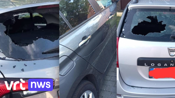 Vandaal slaat ruiten in en steekt banden lek van 15 auto's in Adinkerke