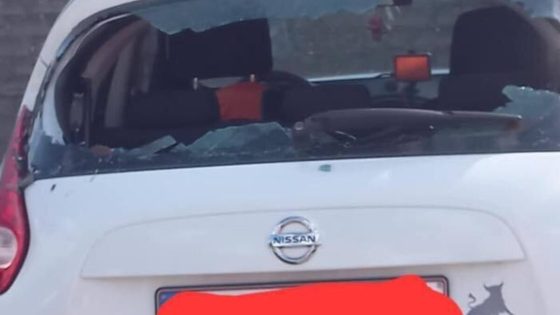 Vandaal beschadigt 15 wagens | Focus en WTV