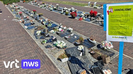 Vandalen beschadigen 23 graven in Hulshout: "Foto's en bloempotten stuk en grafplaten verschoven"