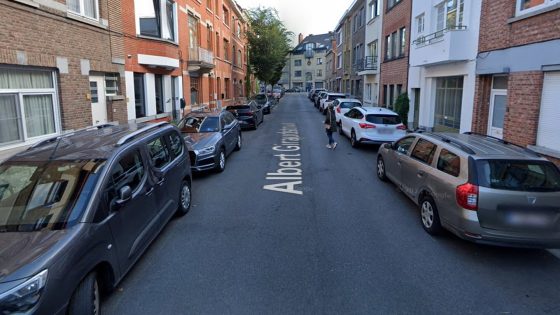 Vandalen bekrassen minstens acht geparkeerde wagens in Leuven