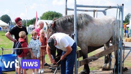 Wachtebeke toont vergeten landbouw- en huisdierrassen zoals Mechelse hoen: "Mogen niet verloren gaan"