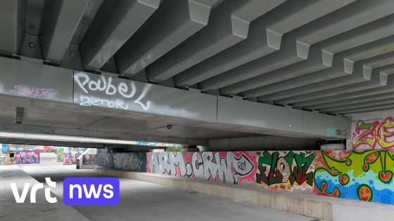 Wegen en Verkeer verwijdert graffiti op nieuwe Verapazbrug en roept op om ze 'puur' te houden