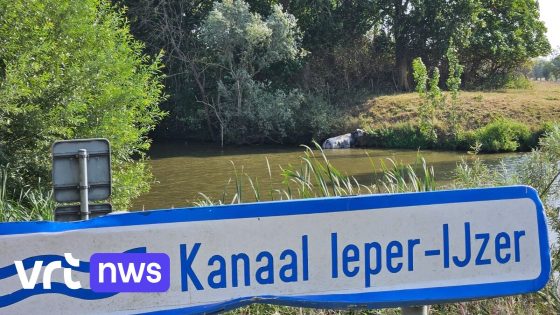 Brandweer Westhoek moet op 1 week tijd 5 koeien uit het water redden - VRT
