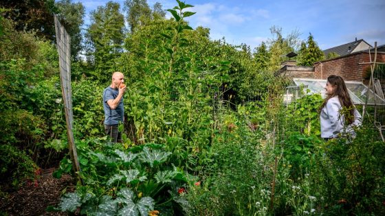 De verwilderde tuin van Geert en Sieglinde: “Dít is ons restaurant, bijna alles hier is eetbaar”