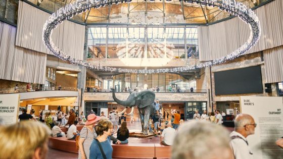 Vroeger traden er olifanten op, sinds een jaar bruist het weer van het leven: Wintercircus viert verjaardag met rondleiding op het dak