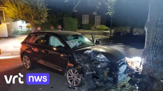 Jongeman rijdt met auto tegen boom in Schepdaal: "Bestuurder was onder invloed van alcohol"