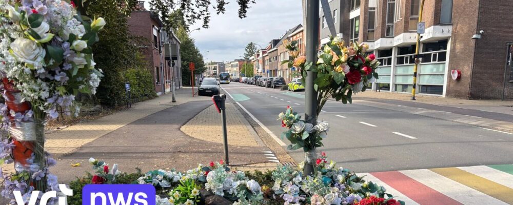 2 jaar cel geëist voor bestuurder die jongen (14) doodreed in Kapellen, ouders: "Ik heb Jasper zien vertrekken en 5 minuten later was hij dood"