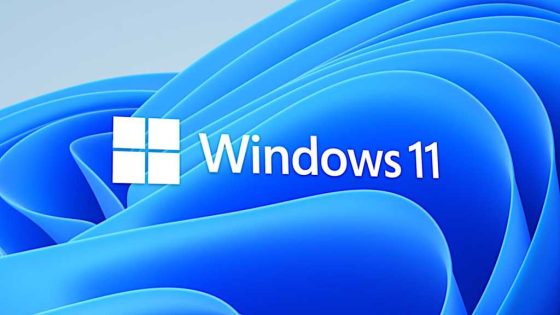 Windows 11 logo Bloom skewed