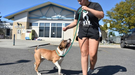 FBI drug burn smokes up Montana animal shelter