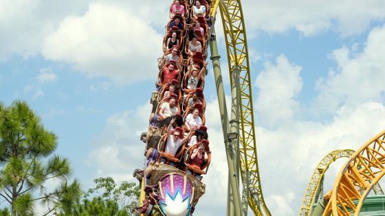 Disability played no role in man's death after riding Universal roller coaster, lawyers say