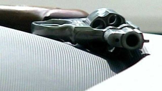 Court strikes down Florida’s open carry ban