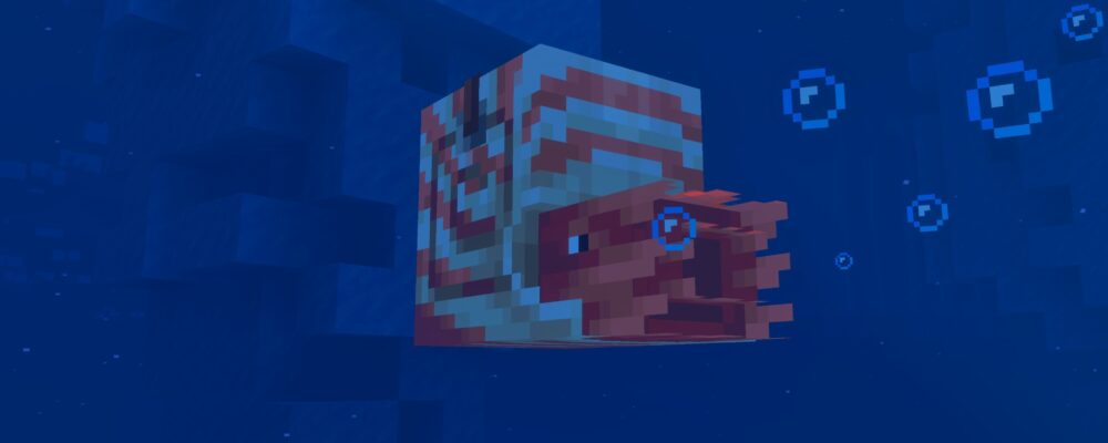 Minecraft LIVE Mounts of Mayhem nautilus in cold ocean