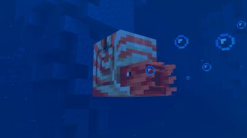 Minecraft LIVE Mounts of Mayhem nautilus in cold ocean