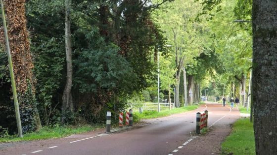 Omwonenden over dodelijk incident Sloterweg: "Buurmannen raakten in gevecht met indringer"