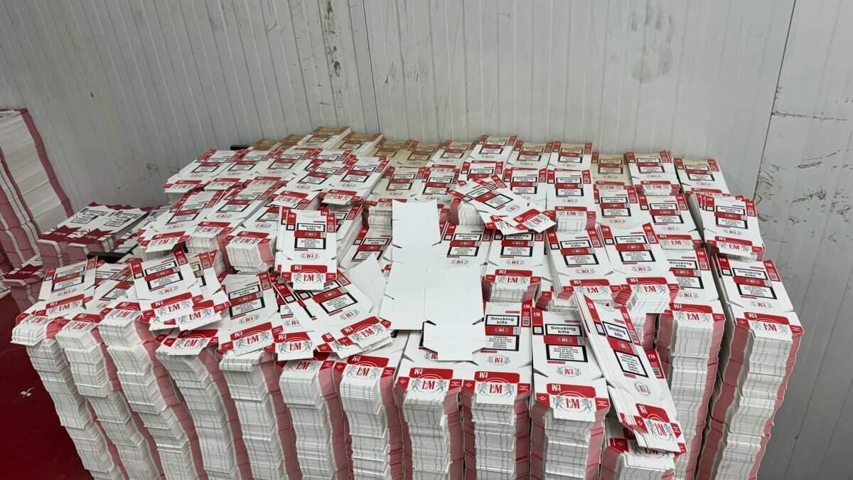 Douane rolt drie illegale sigarettenfabrieken op: 42 miljoen sigaretten gevonden